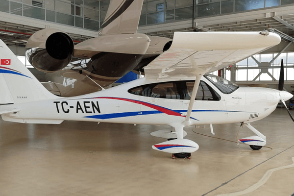 TECNAM P2010